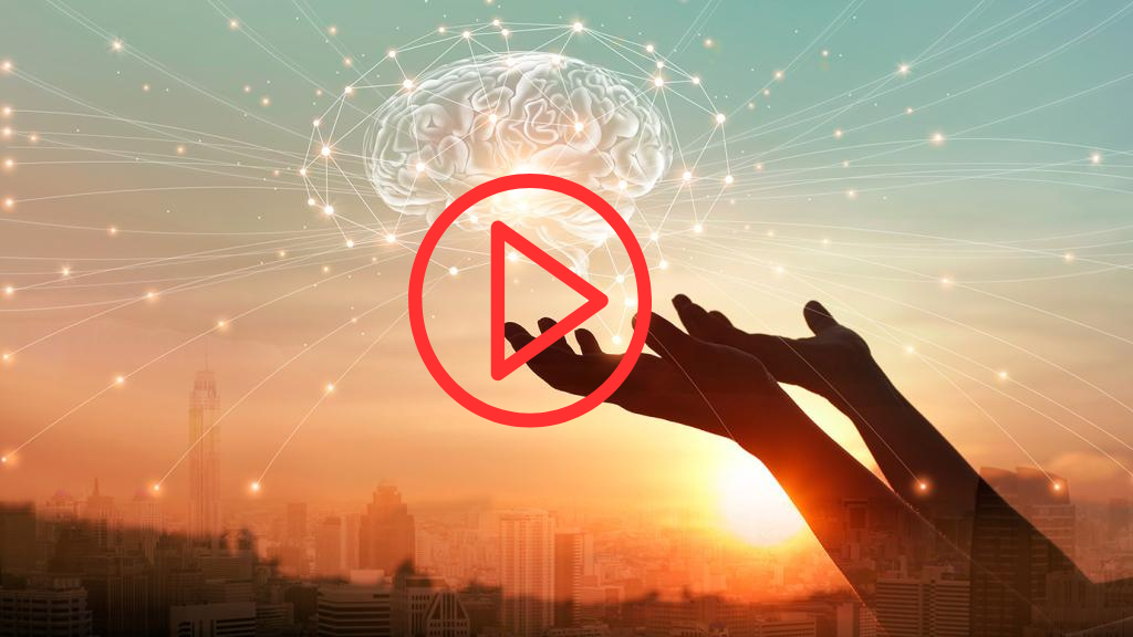 sylen marellasco manifest plan